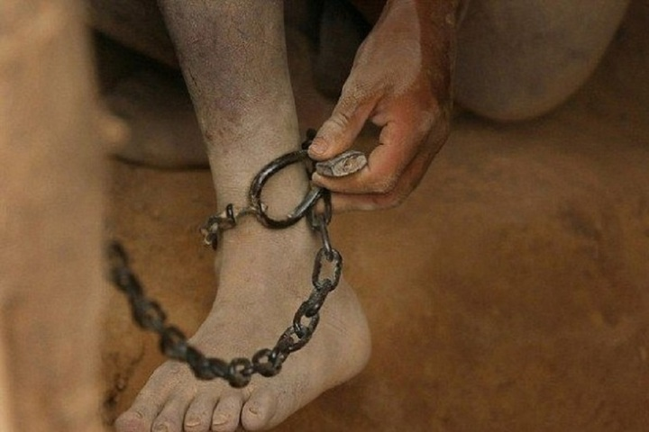 Фото Яндекс картинки.