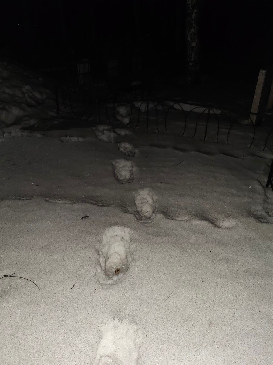    Фото: ГСУ СК России по Красноярскому краю и Республике Хакасия