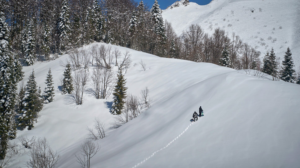 Фото: Андрей Бородулин / Коммерсантъ