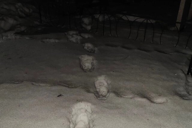    Фото: ГСУ СК России по Красноярскому краю и Республике Хакасия