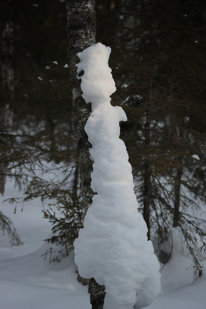 Фото автора канала "Удивительный мир живой природы "
