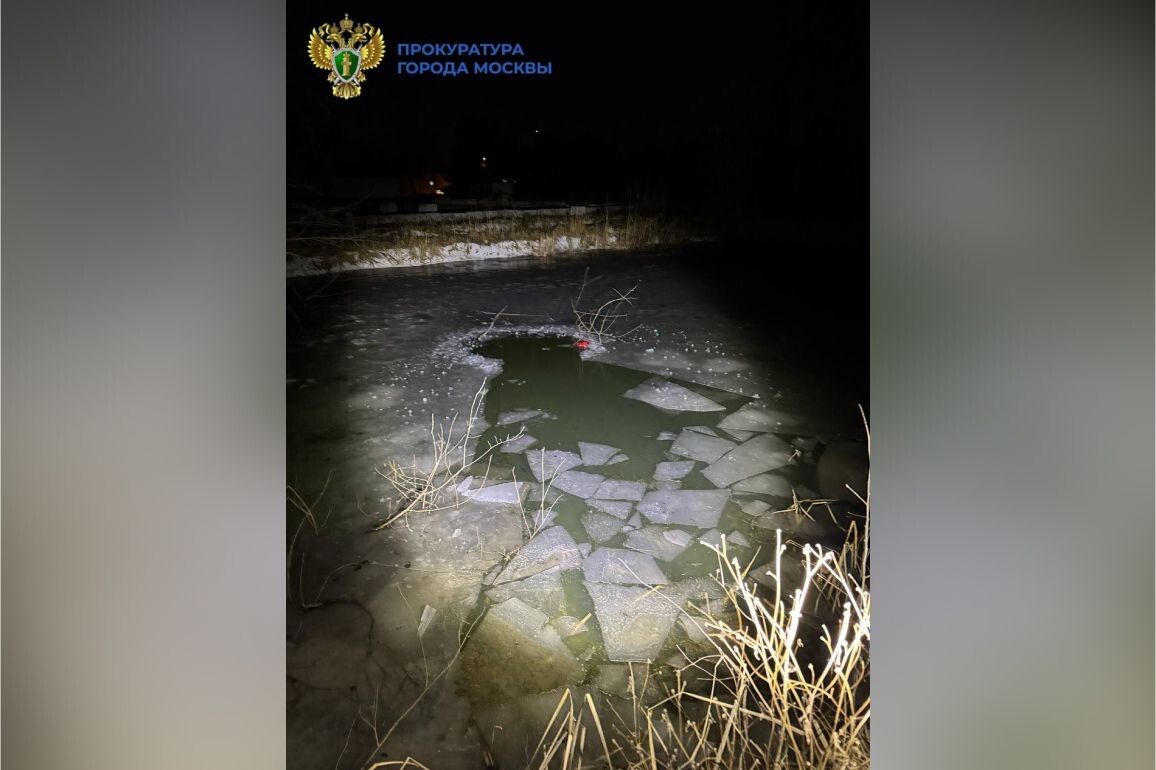     / Источник: © Прокуратура города Москвы