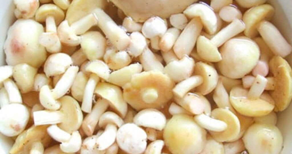 Маслята: чистить или не чистить – вот в чём вопрос