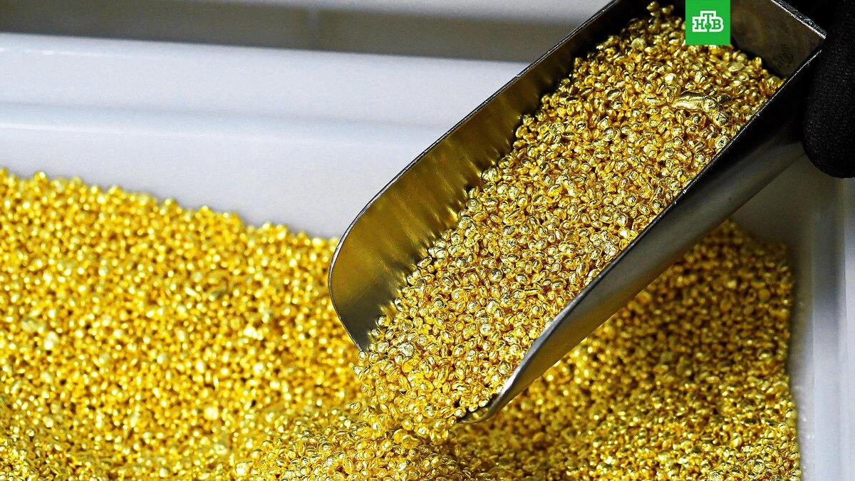    Фото: РИА Новости © 2025, Илья Наймушин