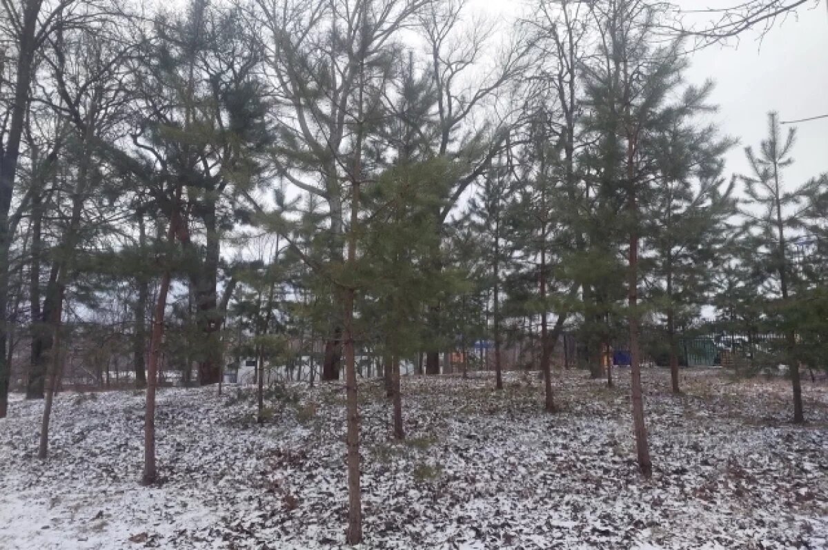    Погоду в Туле и области определяет радиационная оттепель