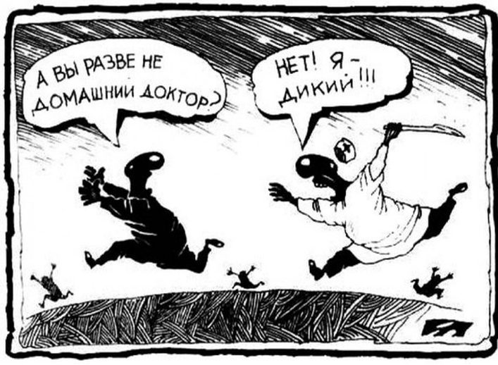 художник А. Меринов