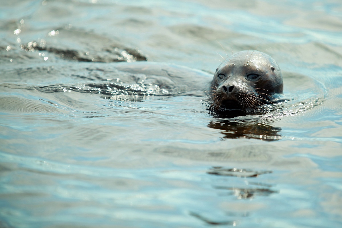    Фото: Baltphoto/ Дарья Иванова