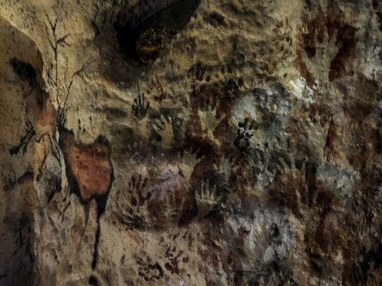     Уникальная выставка в Музее археологии пройдет в Хабаровске: «Читая археологию» / Маргарита Сурина