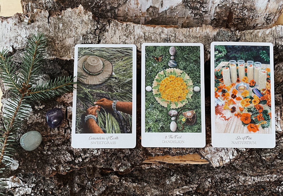 Карты таро травника