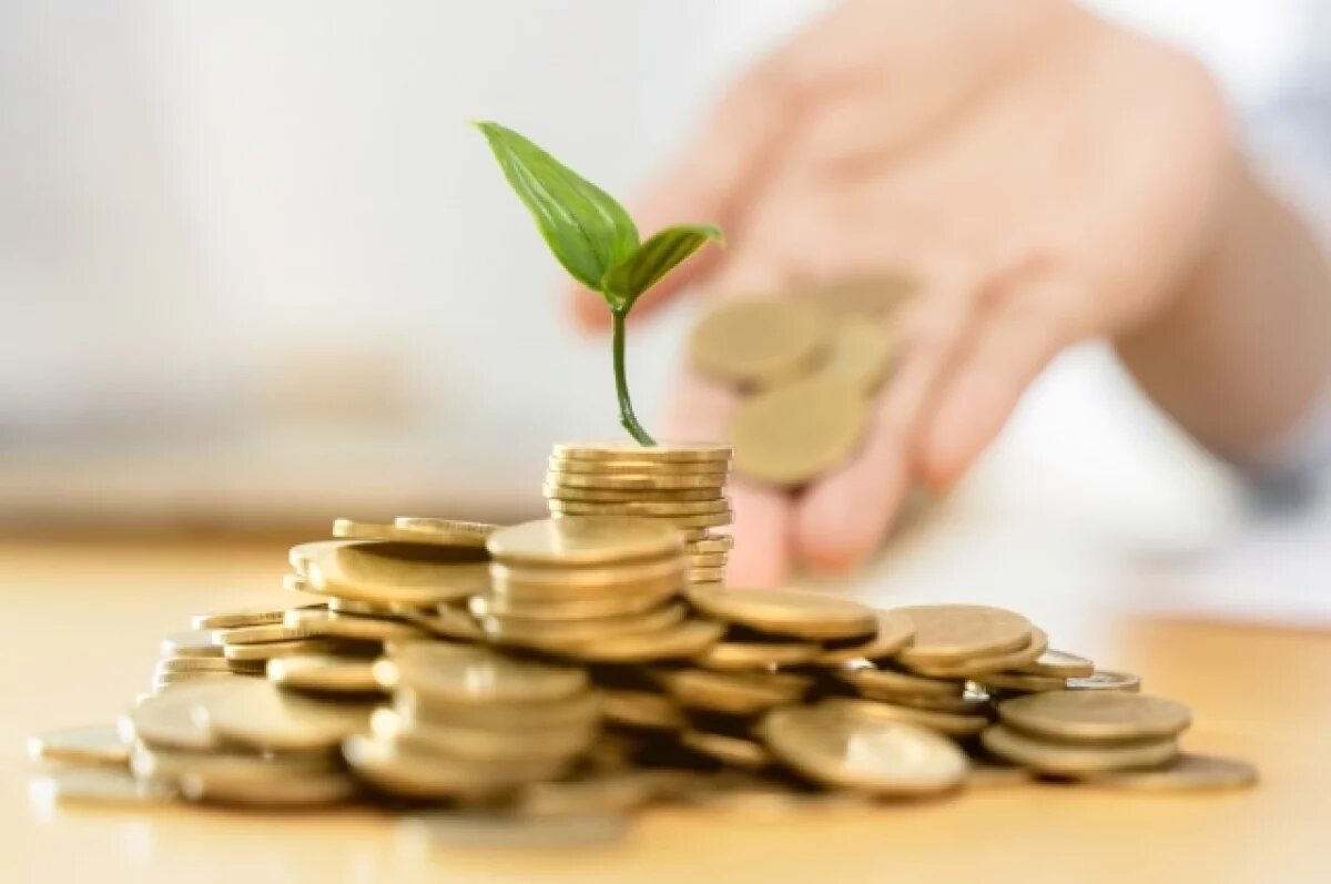    Многие самозанятые новосибирцы не платят добровольные пенсионные взносы