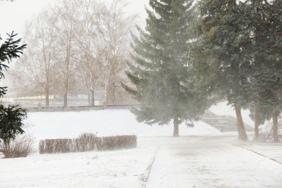    Метель. Непогода. Источник: Виталий Барабаш/"Толк"