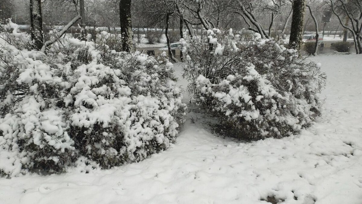     Источник: rostovgazeta.ru