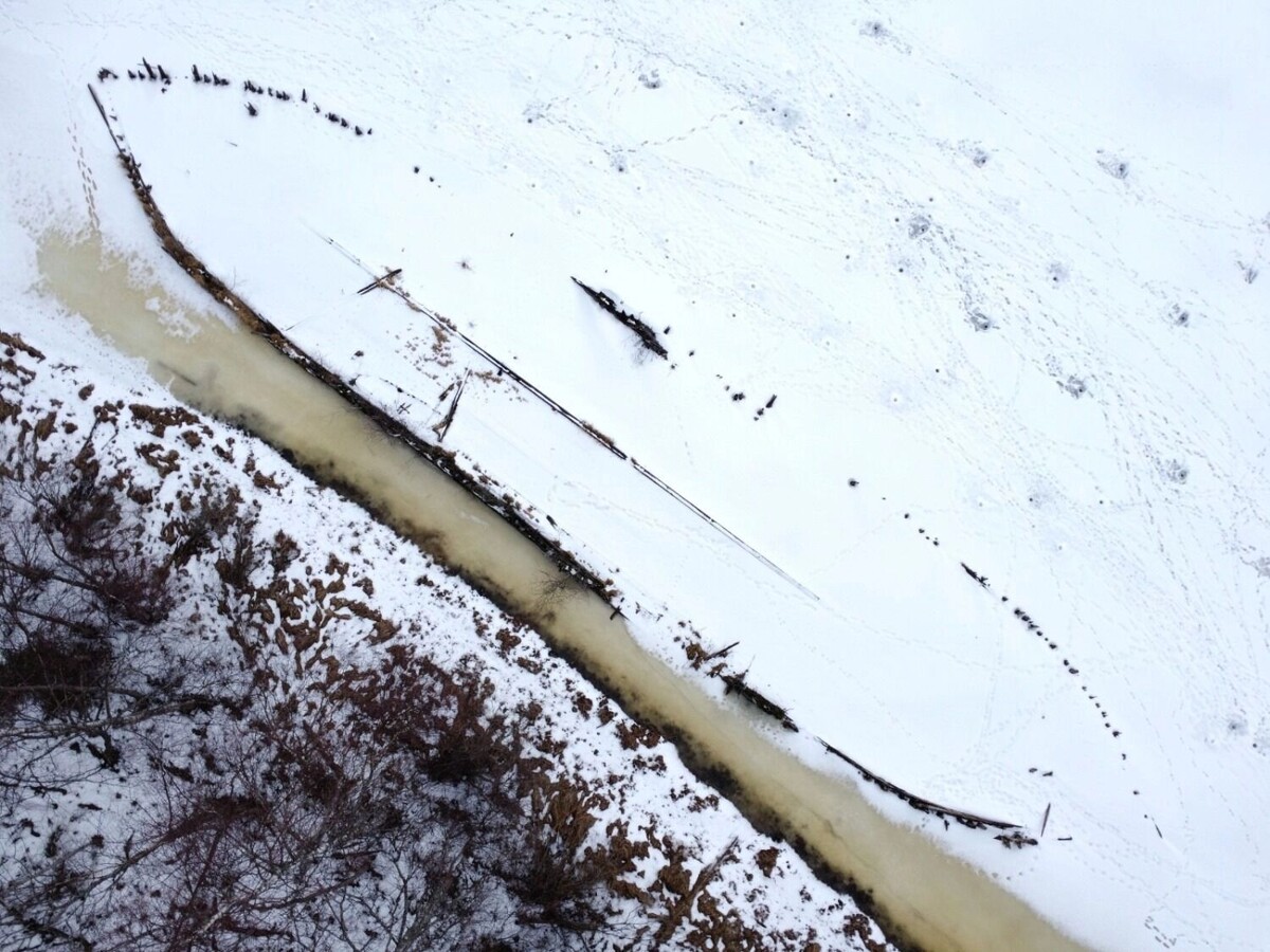     Автор: Анна Машигина Источник: Национальный парк «Ладожские шхеры» / vk