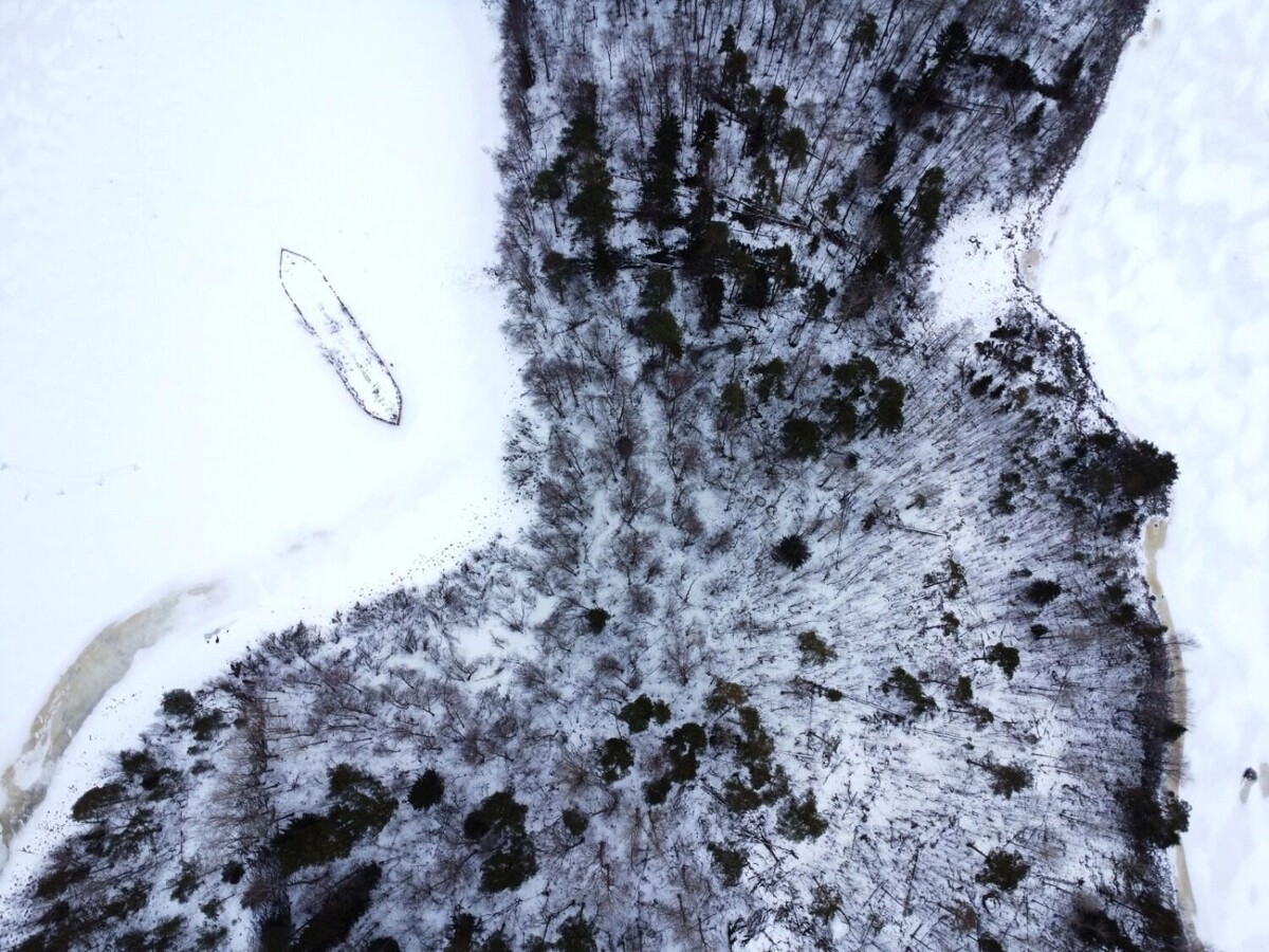     Автор: Анна Машигина Источник: Национальный парк «Ладожские шхеры» / vk