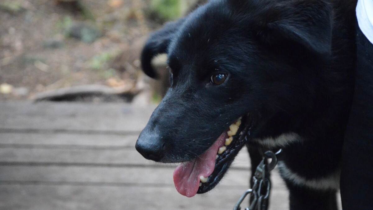     Источник: 1MI