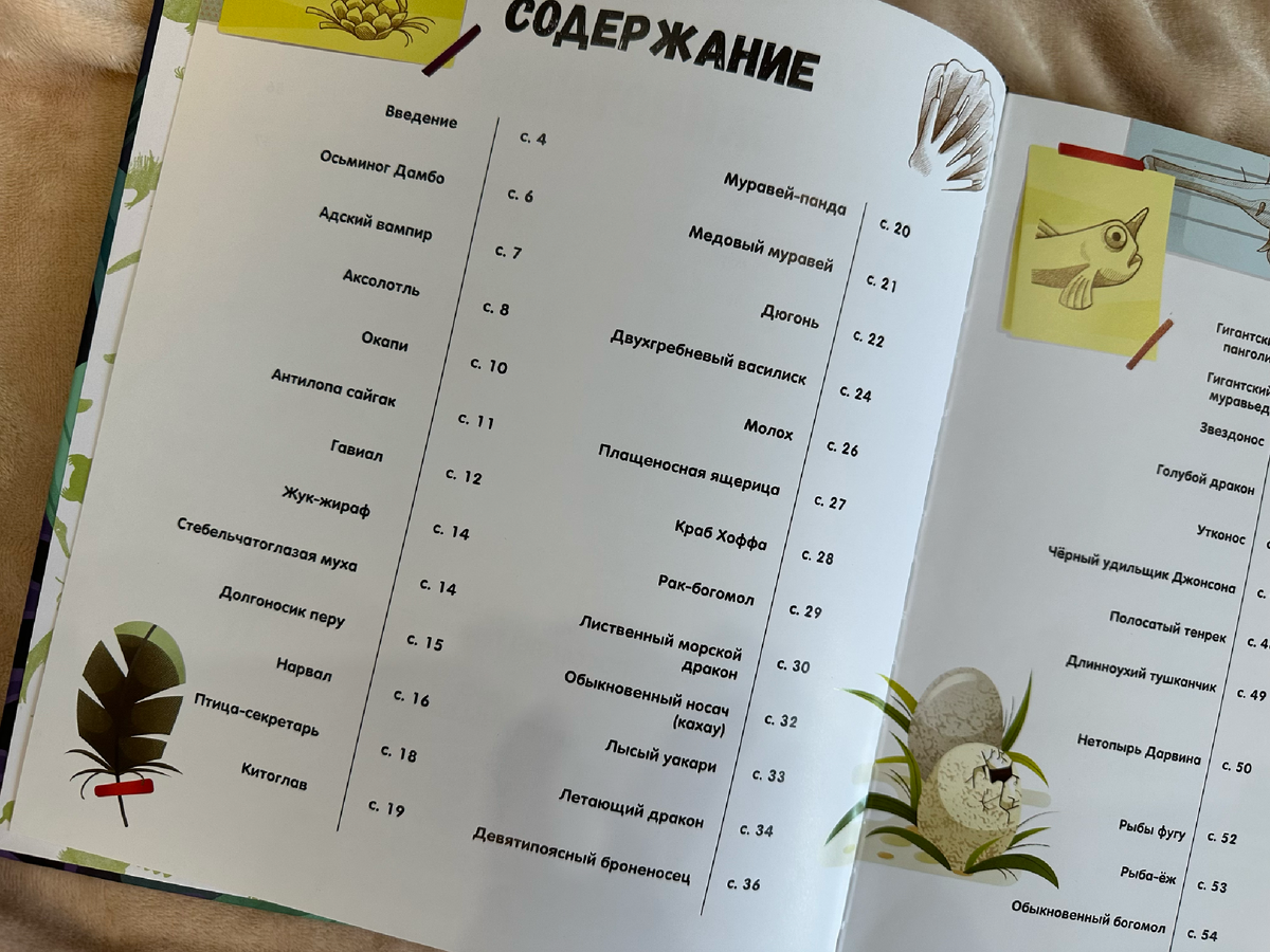 Автор выделила удивительных существ в каждом классе, чтобы пробуждать любопытство 