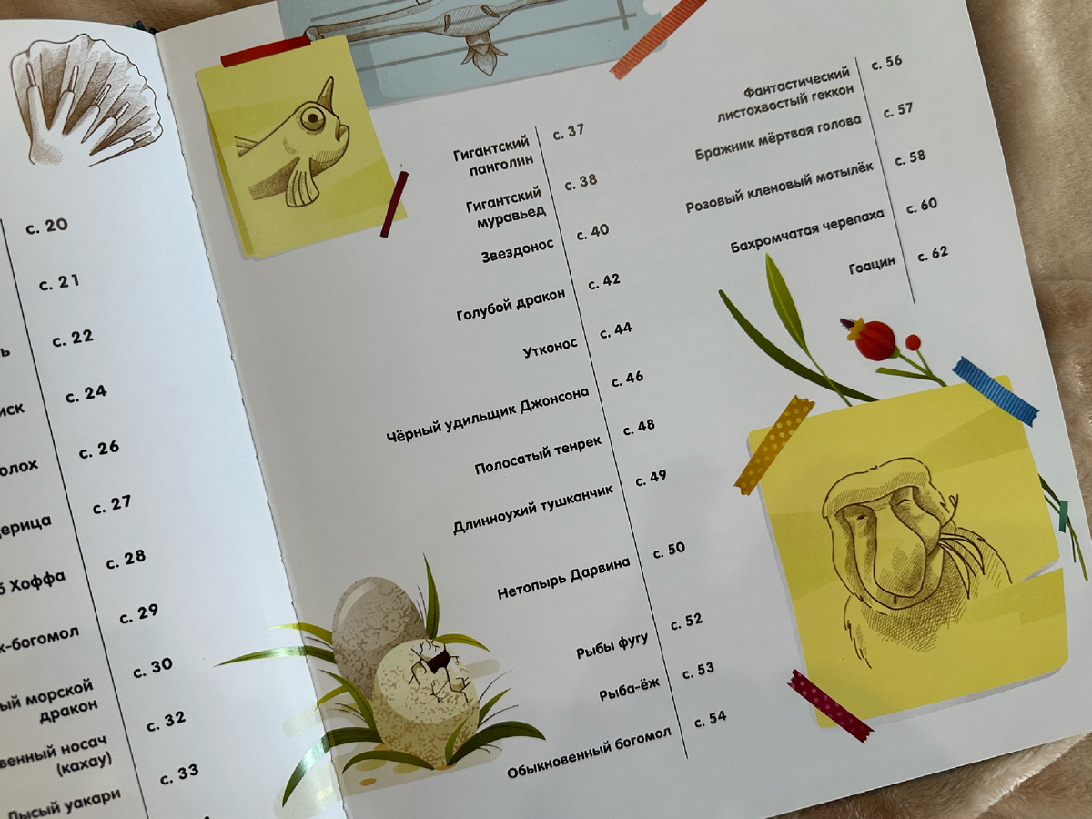 Наша природа невероятна!