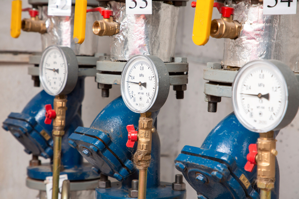 фото Натальи Лариной. 