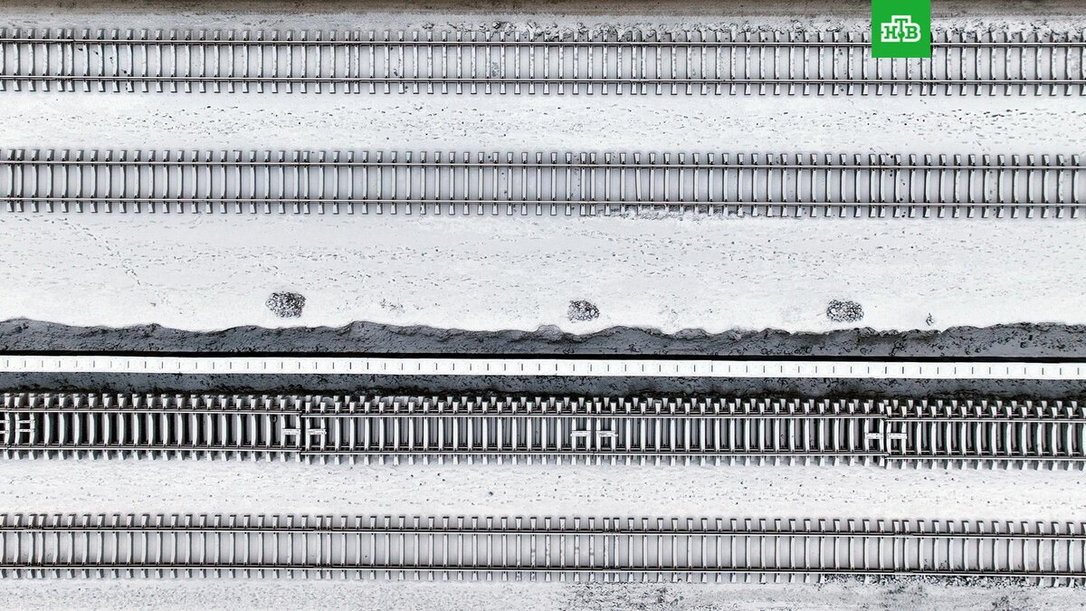    Фото: РИА Новости © 2025, Павел Львов