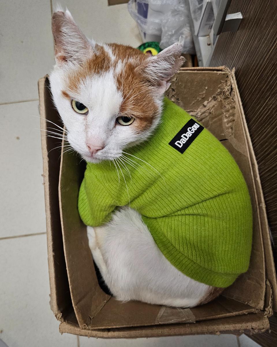 Фото автора. Боинг.