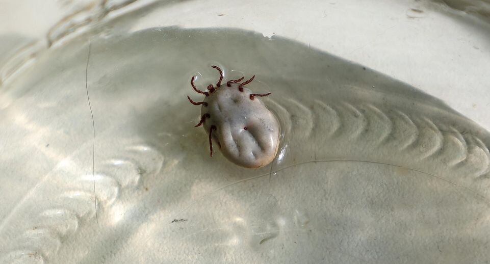    Petrov Sergey/news.ru / www.globallookpress.com