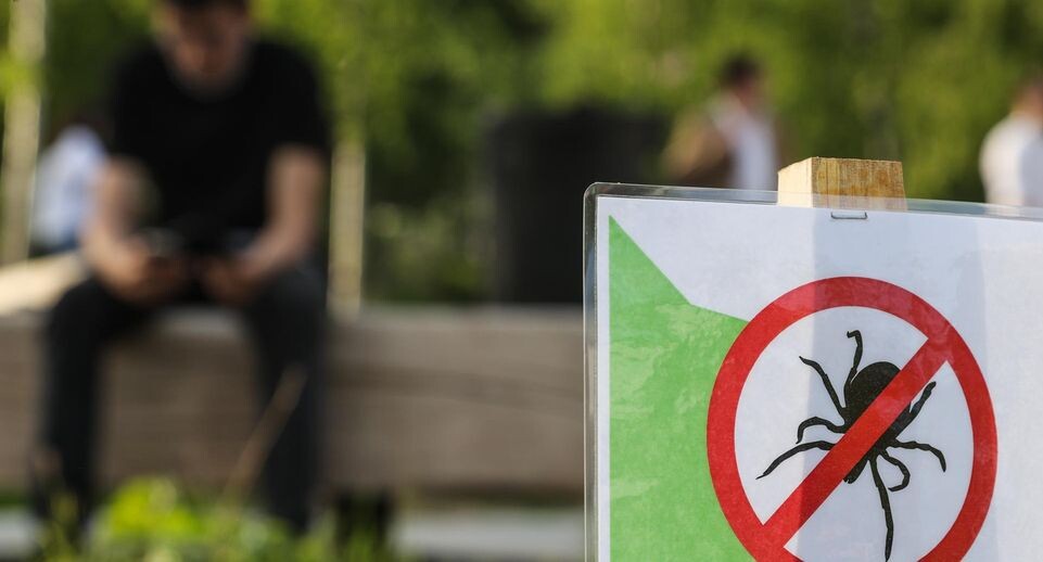    Bulkin Sergey/news.ru / www.globallookpress.com