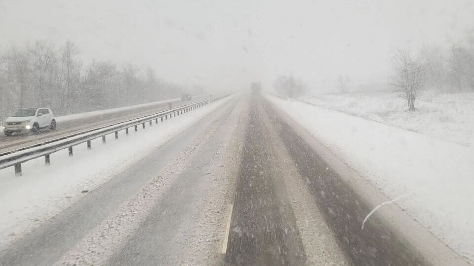     Источник: telegram