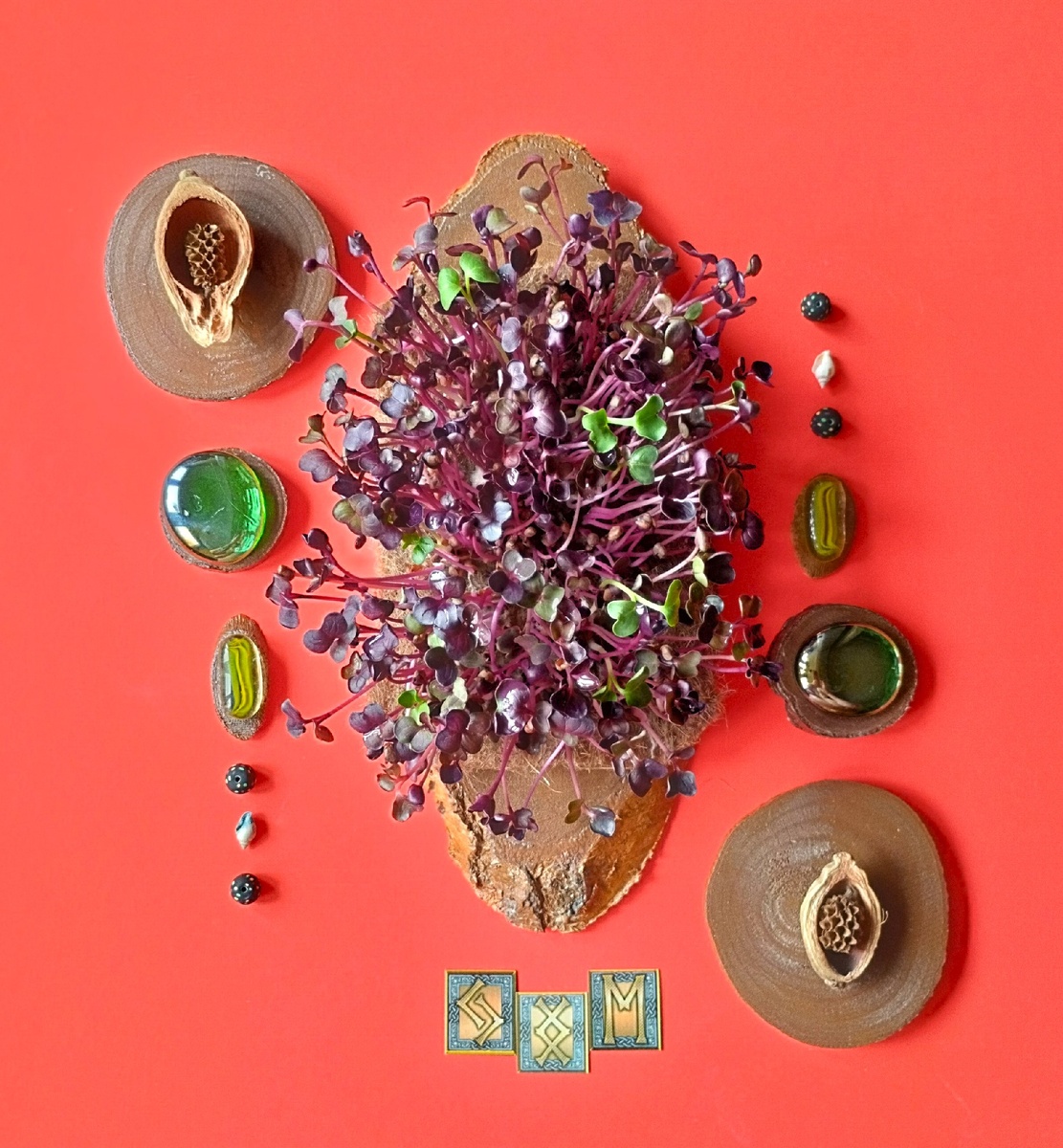 Микрозелень редиса Санго. Рунический став: Урожай, изобилие.