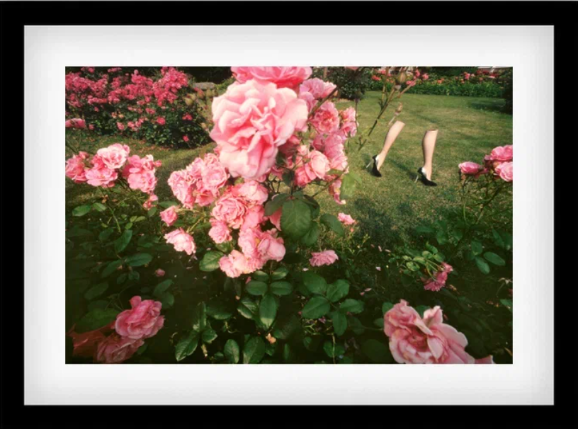     Guy Bourdin, Advertising campaign for the Charles Jourdan brand, September 1979