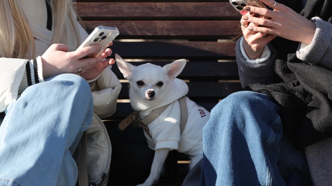    Фото: © Belkin Alexey/news.ru/Globallookpress