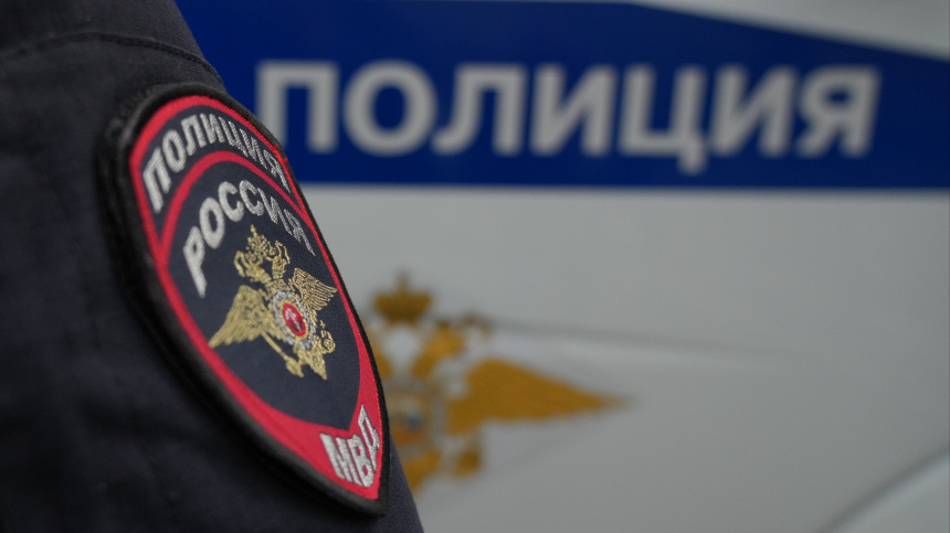    Фото: ИЗВЕСТИЯ/Дмитрий Коротаев; 5-tv.ru