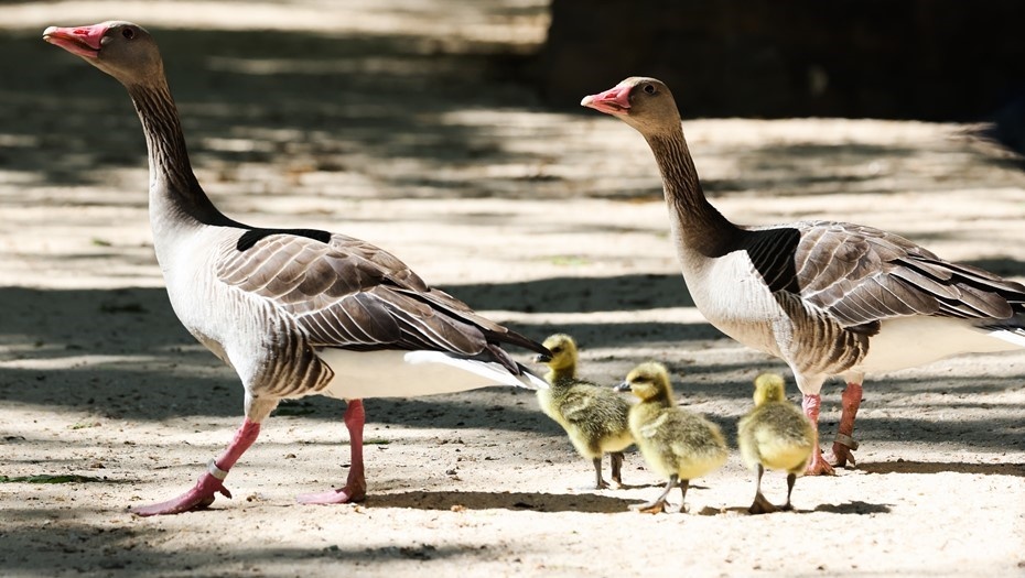    Автор фото: Алексей Коновалов/ТАСС