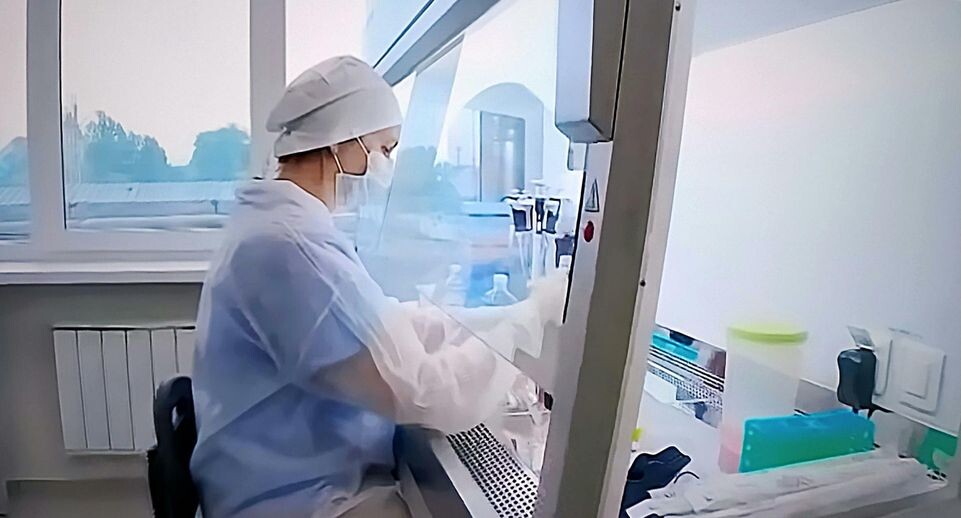    Victor Lisitsyn, Виктор Лисицын/Global Look Press / www.globallookpress.com