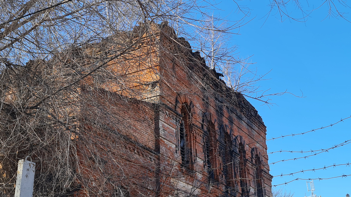 Фото автора. 2025г.