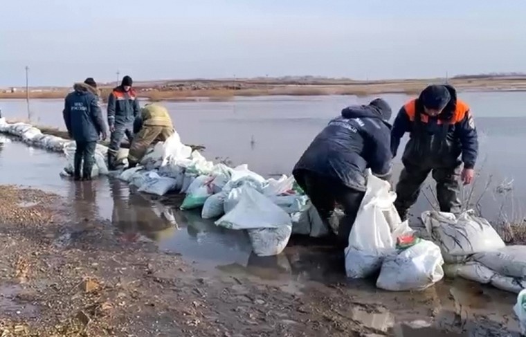    МЧС РФ/РИА Новости