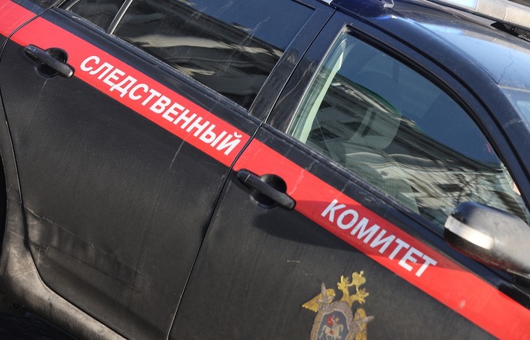    Алексей Белкин/NEWS.ru