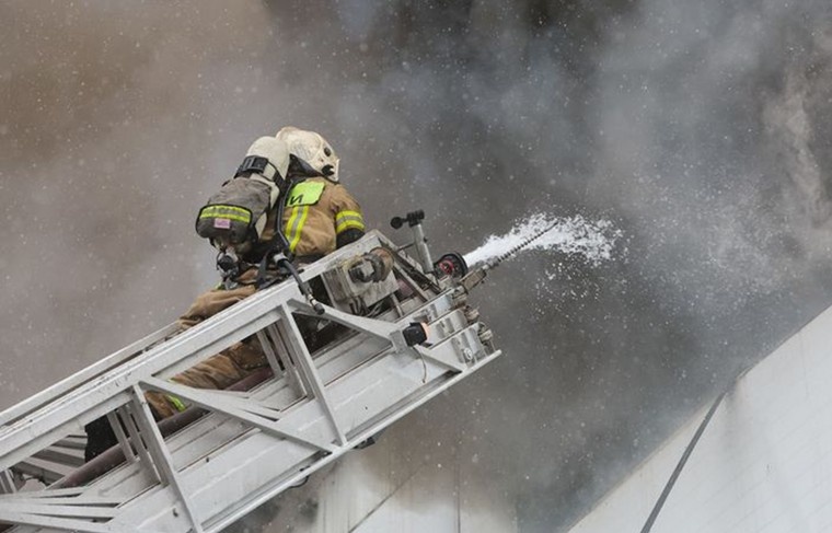    Алексей Белкин/NEWS.ru