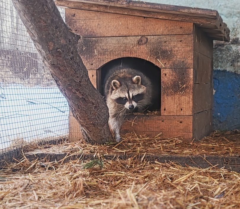    Фото: Большереченский зоопарк