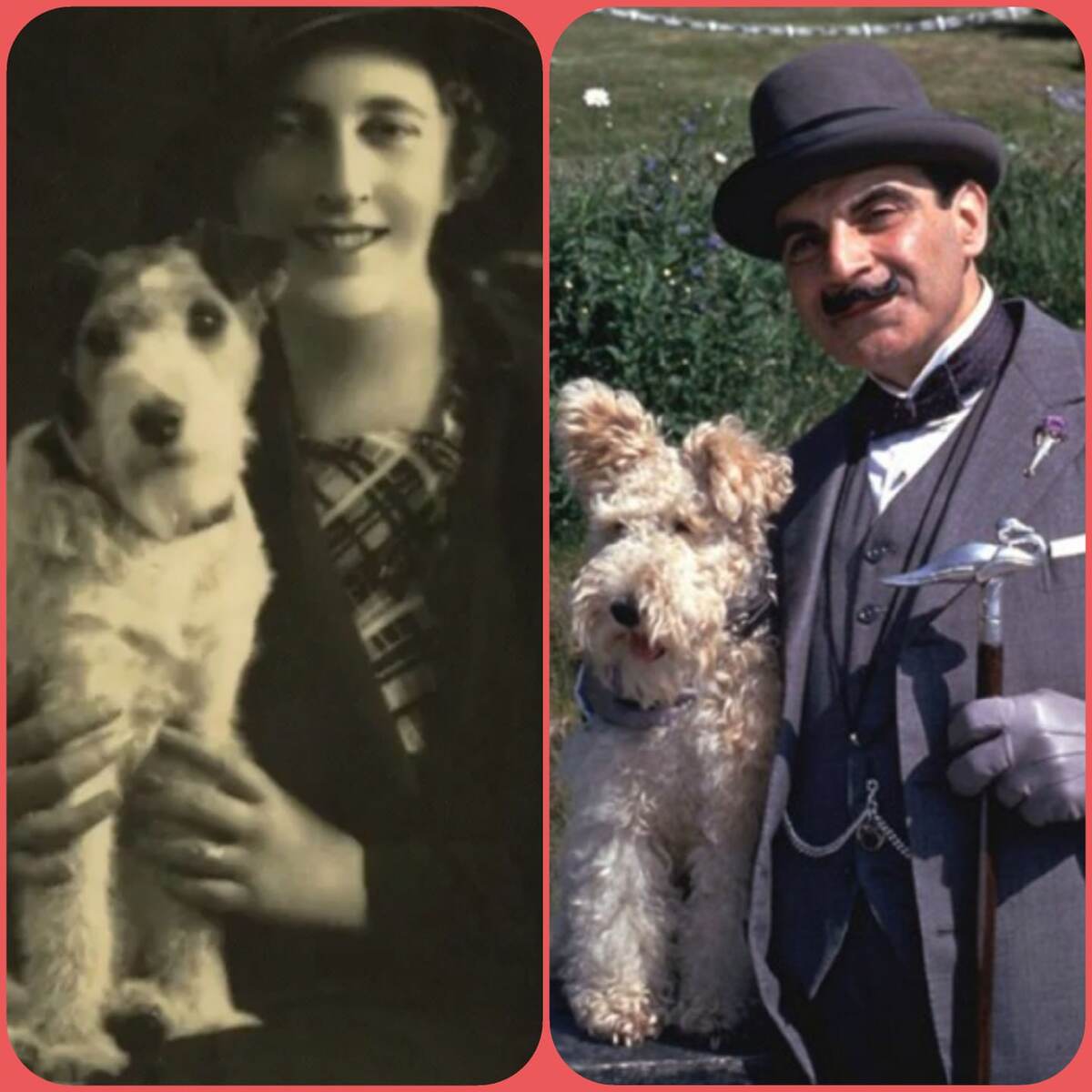 Агата Кристи со своим фокстерьером Питером и Эркюль Пуаро с Бобом))