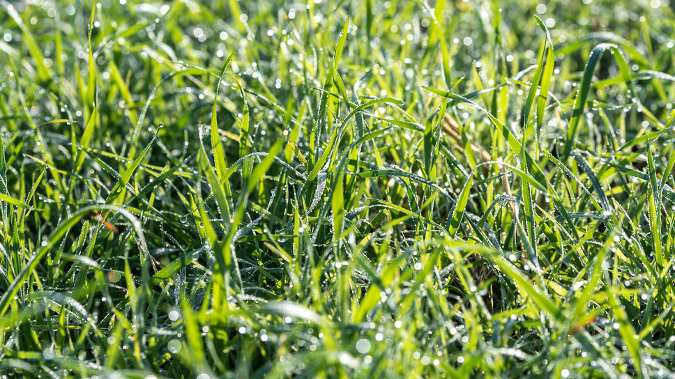 Фото: Олег Харсеев / Коммерсантъ