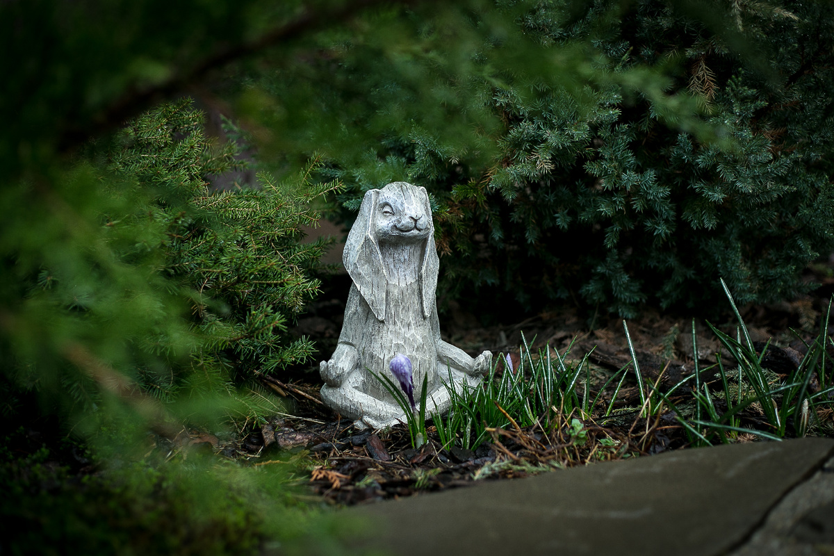 Автор фото Елена Якимова / Greenfingers