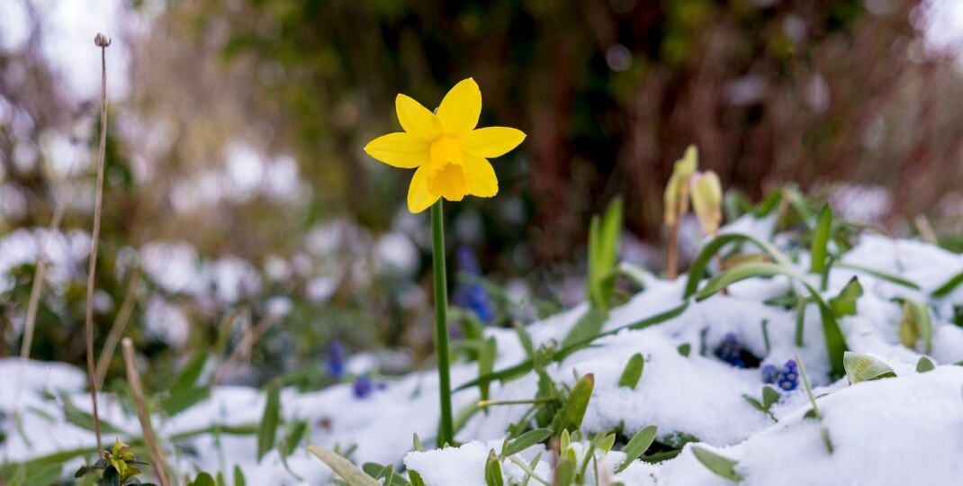 Весна идёт! Весне - дорогу!