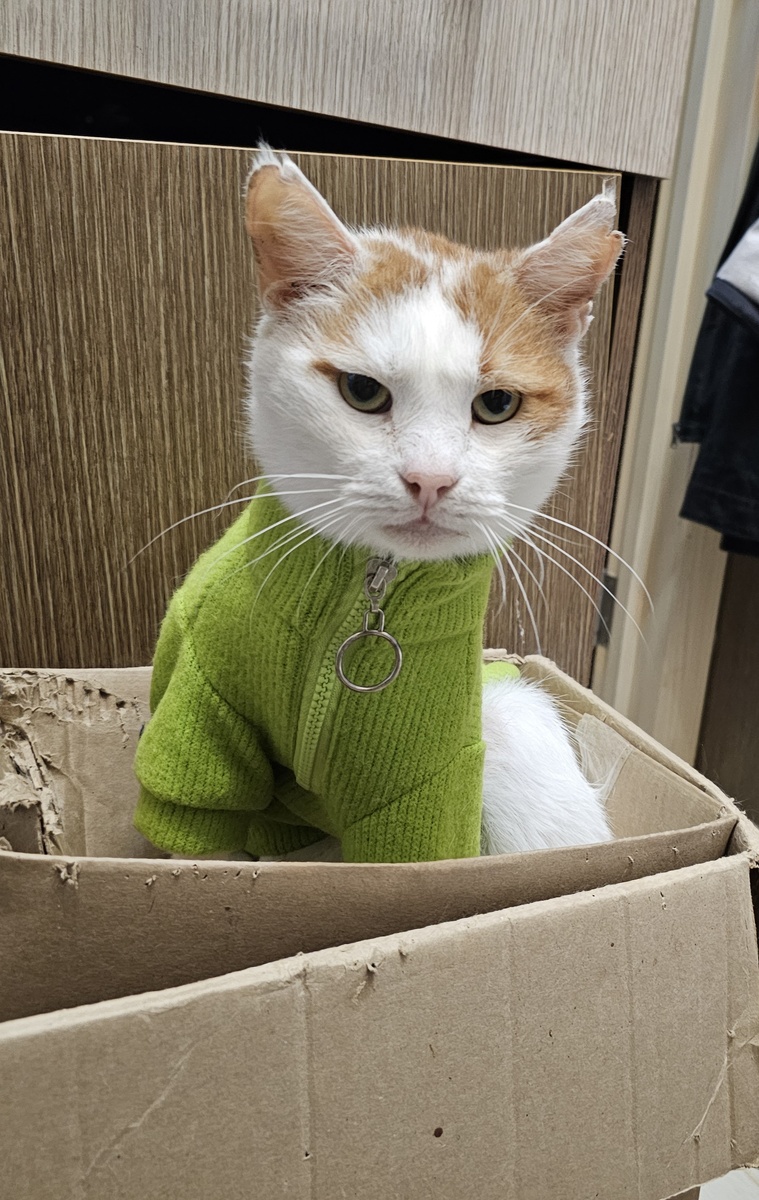 Фото автора. Боинг.