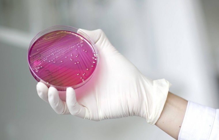    Dennis Van Tine/imago stock&people/Global Look Press