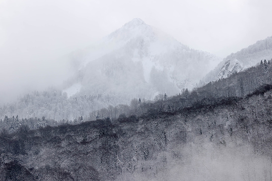 Фото: Дмитрий Феоктистов/ТАСС