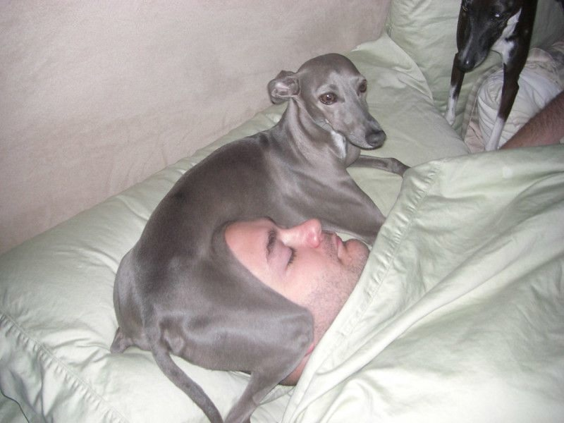 Собака — лучшая микстура от всех болезней! 