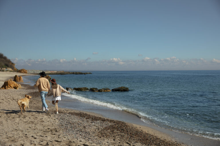    Фото: freepik.com/freepik Анна Мигинеишвили