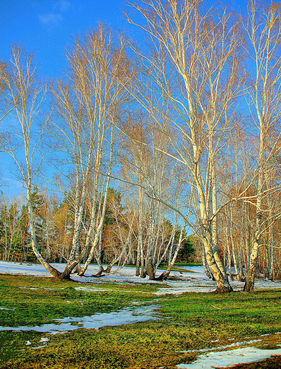 Фотография, стихотворение Василия Глуцкого