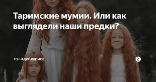 Фото взято из открытого доступа Сети и принадлежит своим хозяевам.