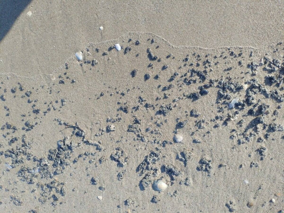 Фото: Оперштаб Краснодарского края